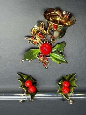 Vintage Mix-Matched Set Poinsettia Broach and Screw Back Earrings